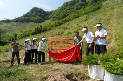 守護(hù)珍稀物種崖柏 三棵樹助力保護(hù)生物多樣性 涂料在線,coatingol.com