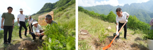 守護(hù)珍稀物種崖柏 三棵樹助力保護(hù)生物多樣性 涂料在線,coatingol.com