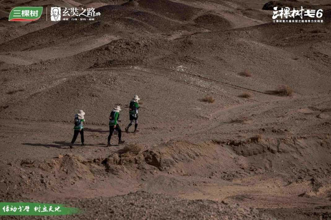 綠動戈壁 樹立天地丨三棵樹戈6 突破A段挑戰，進發B段新征程 涂料在線,coatingol.com