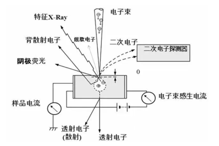 掃描電子顯微鏡在涂料中的應用及相關標準簡介 涂料在線,coatingol.com