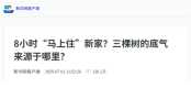 新華網 | 8小時“馬上住”新家？三棵樹的底氣來源于哪里？