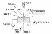 掃描電子顯微鏡在涂料中的應用及相關標準簡介